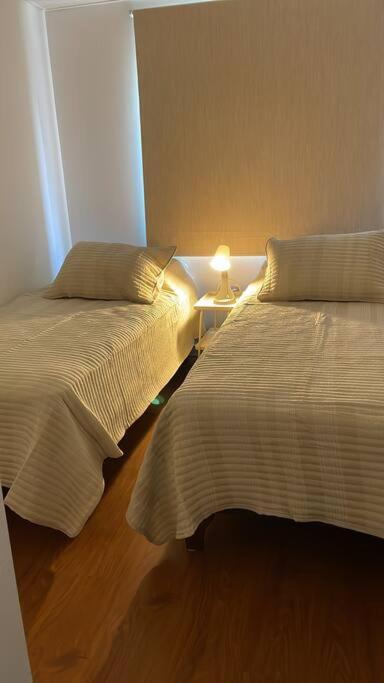 Recien Renovado! Elegancia Y Comodidad En Bellavista Apartamento Santiago