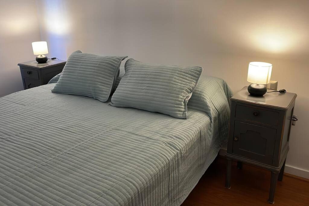 Apartamento Recien Renovado! Elegancia Y Comodidad En Bellavista Santiago